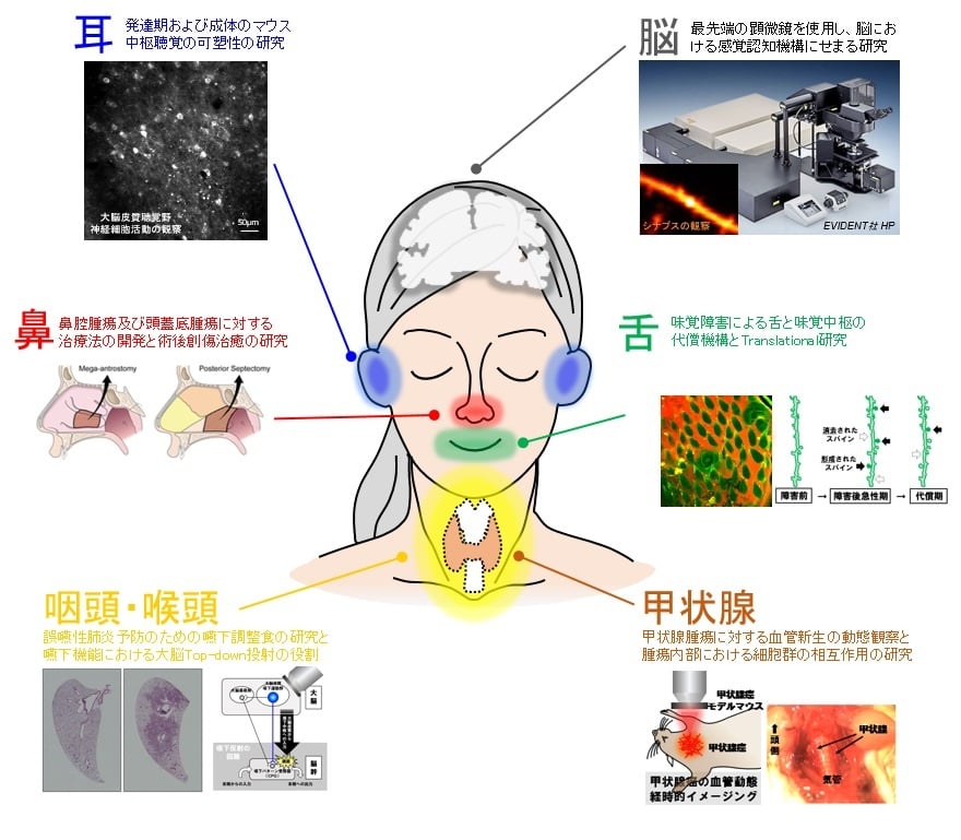 研究内容